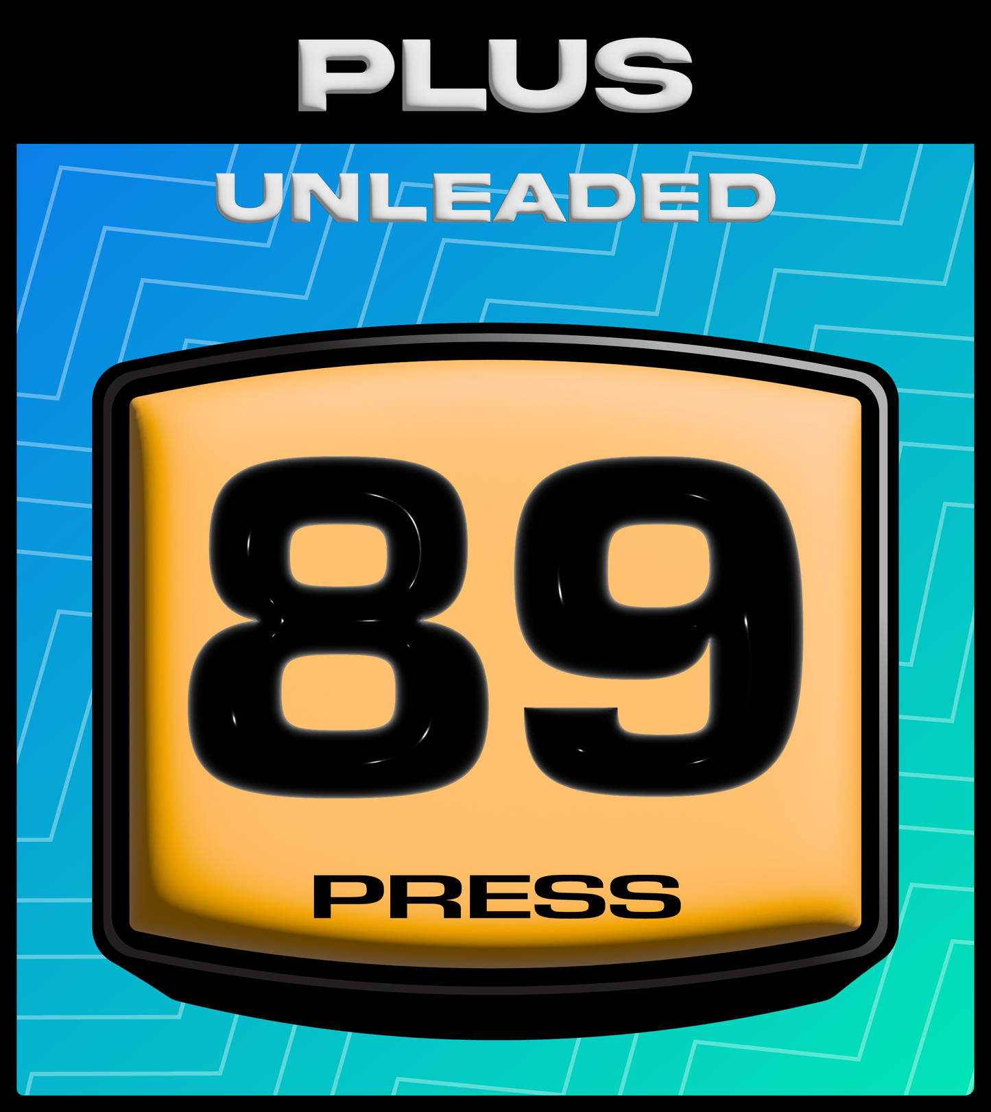 (110X) 89 UNLEADED PLUS QUICK FILL