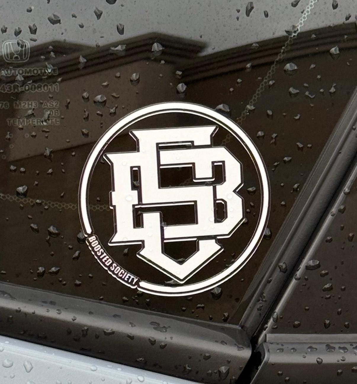 BS Logo (DieCut)